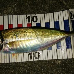 潮目の変化を捉えて